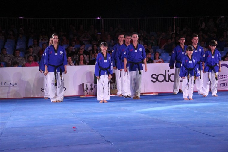 Martial Arts Festival